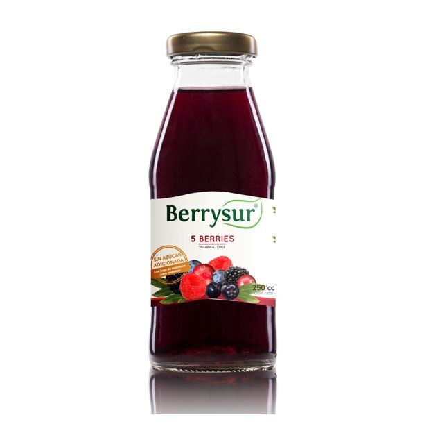 Jugo-5-berries-250-cc-Marca-Berrysur