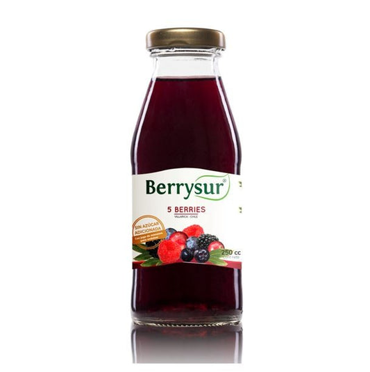 Jugo-5-berries-250-cc-Marca-Berrysur